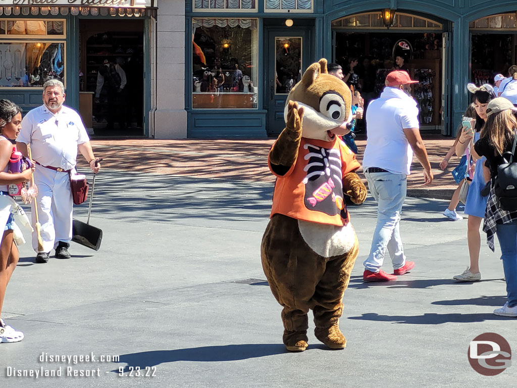 Chip roaming around greeting guests