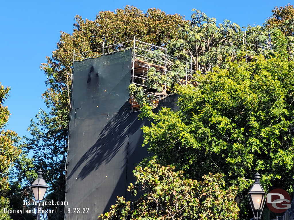 No real signs of visible progress at the treehouse.