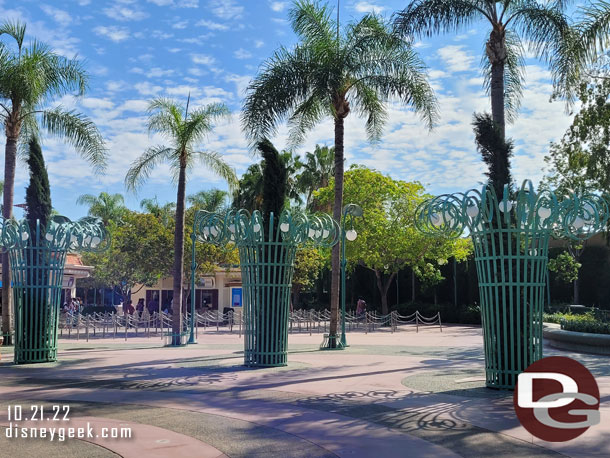 The new trees in the Esplanade look to all be installed.