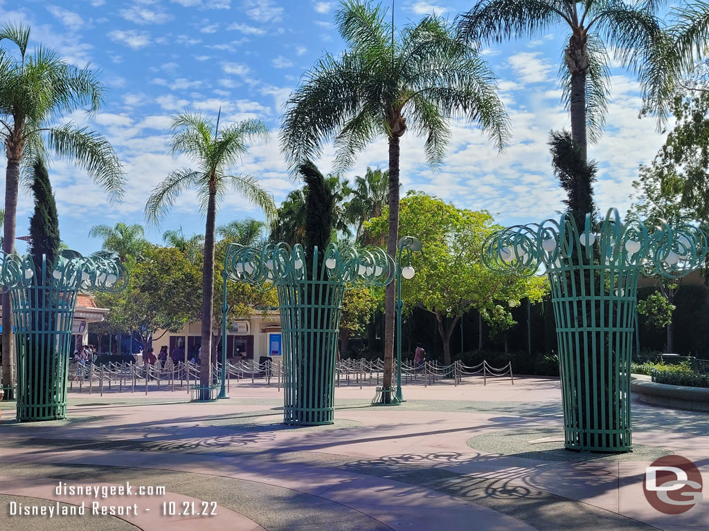 The new trees in the Esplanade look to all be installed.