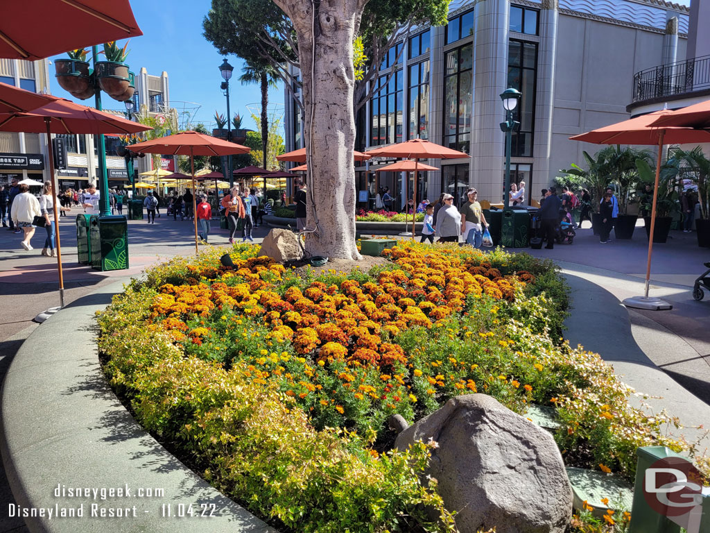 The planters are being prepared for the Christmas decorations.