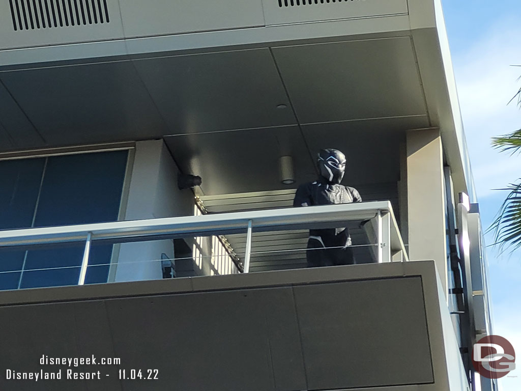 The Black Panther looking over the campus