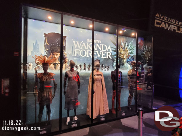 Wakanda Forever Costumes