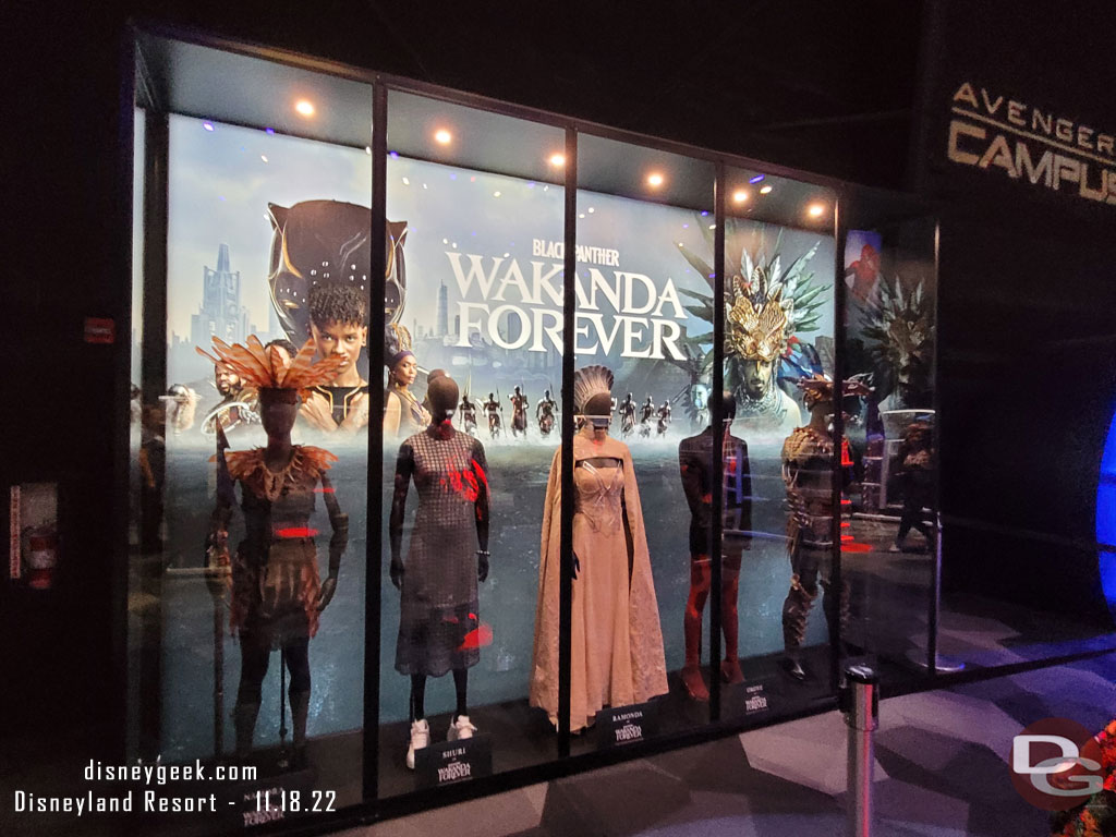 Wakanda Forever Costumes