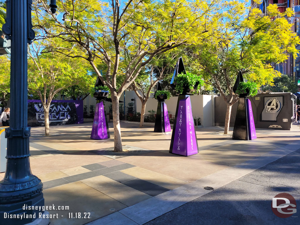 Walked through the Black Panther Celebration Garden