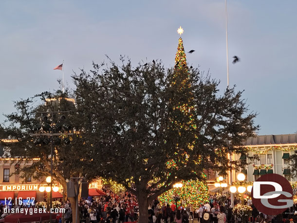 5:00pm - Tree Lighting Moment