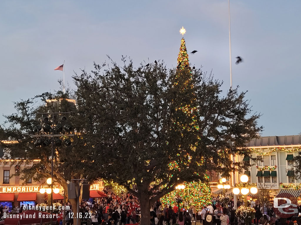 5:00pm - Tree Lighting Moment