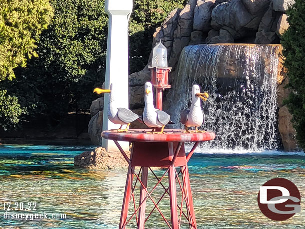 All three seagulls were out today.