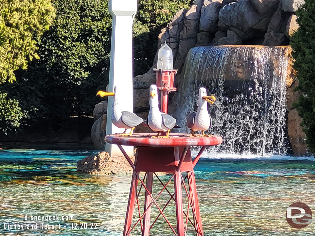 All three seagulls were out today.