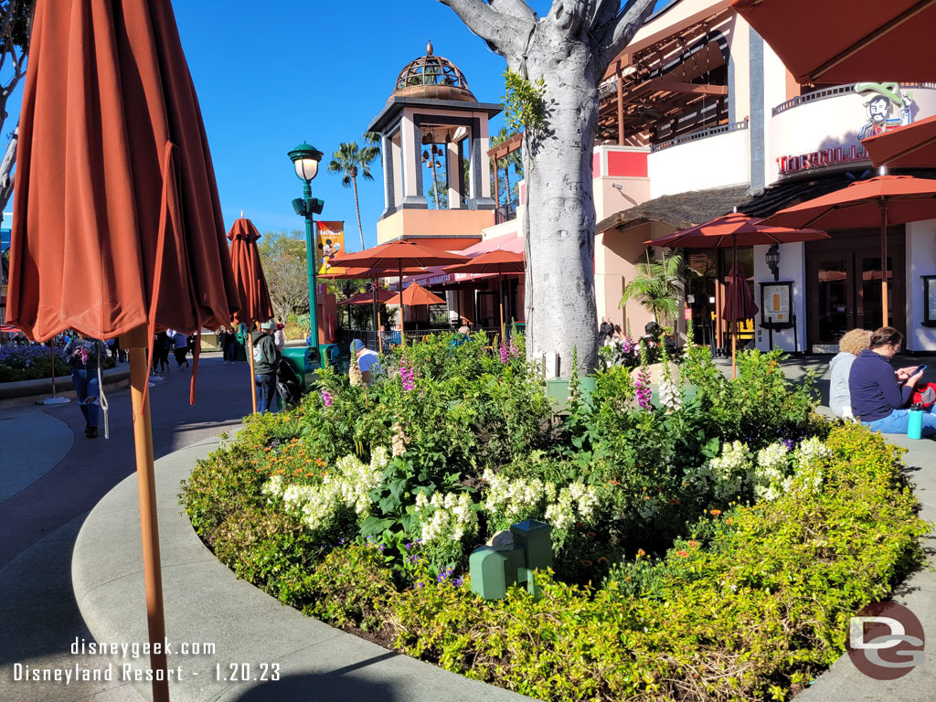 The planters have no seasonal decorations at the moment but Disney100 should be installed soon.