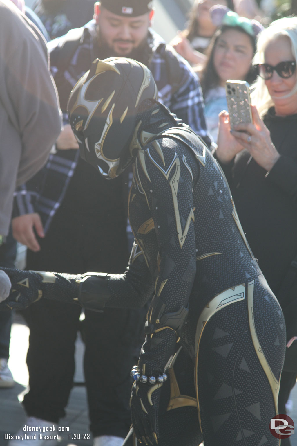 Black Panther was out greeting guests