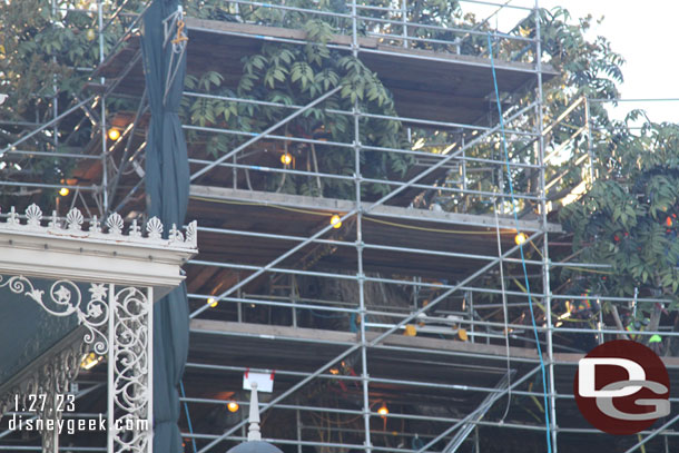 The screens are drawn back due to recent winds so you get a look at the tree house work, will take a close look in a bit.