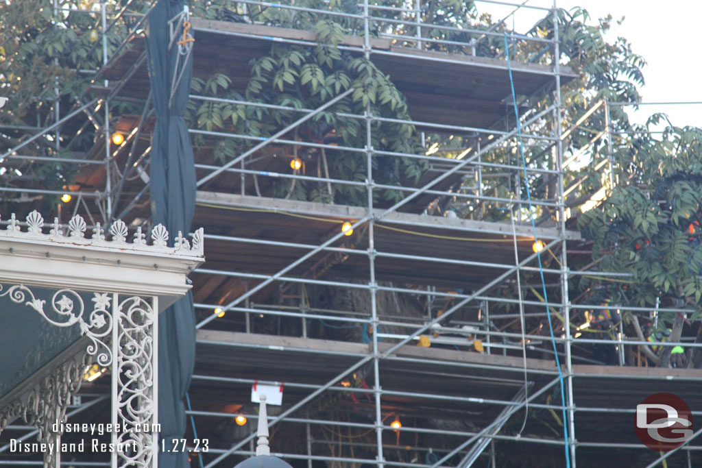 The screens are drawn back due to recent winds so you get a look at the tree house work, will take a close look in a bit.