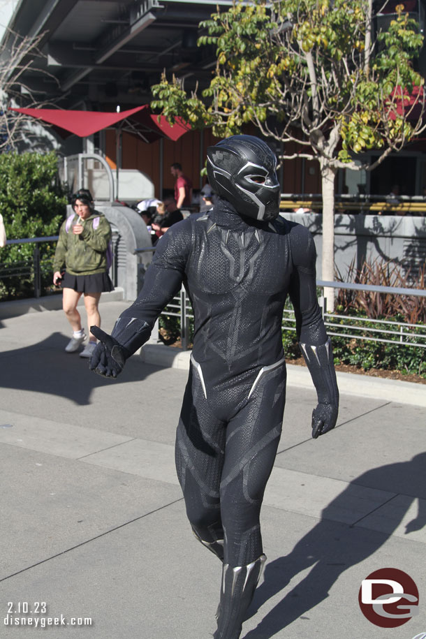 The Black Panther in Avengers Campus