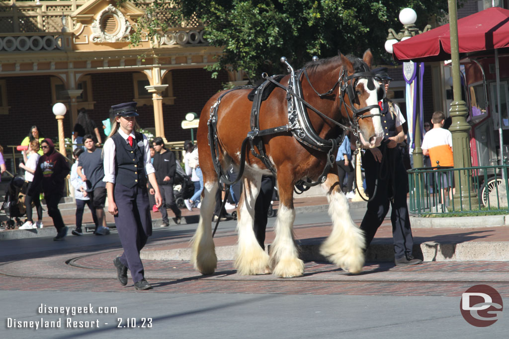 Cast members working with a new horse, they were making the circuit to get the horse used to the sights, sounds and route.