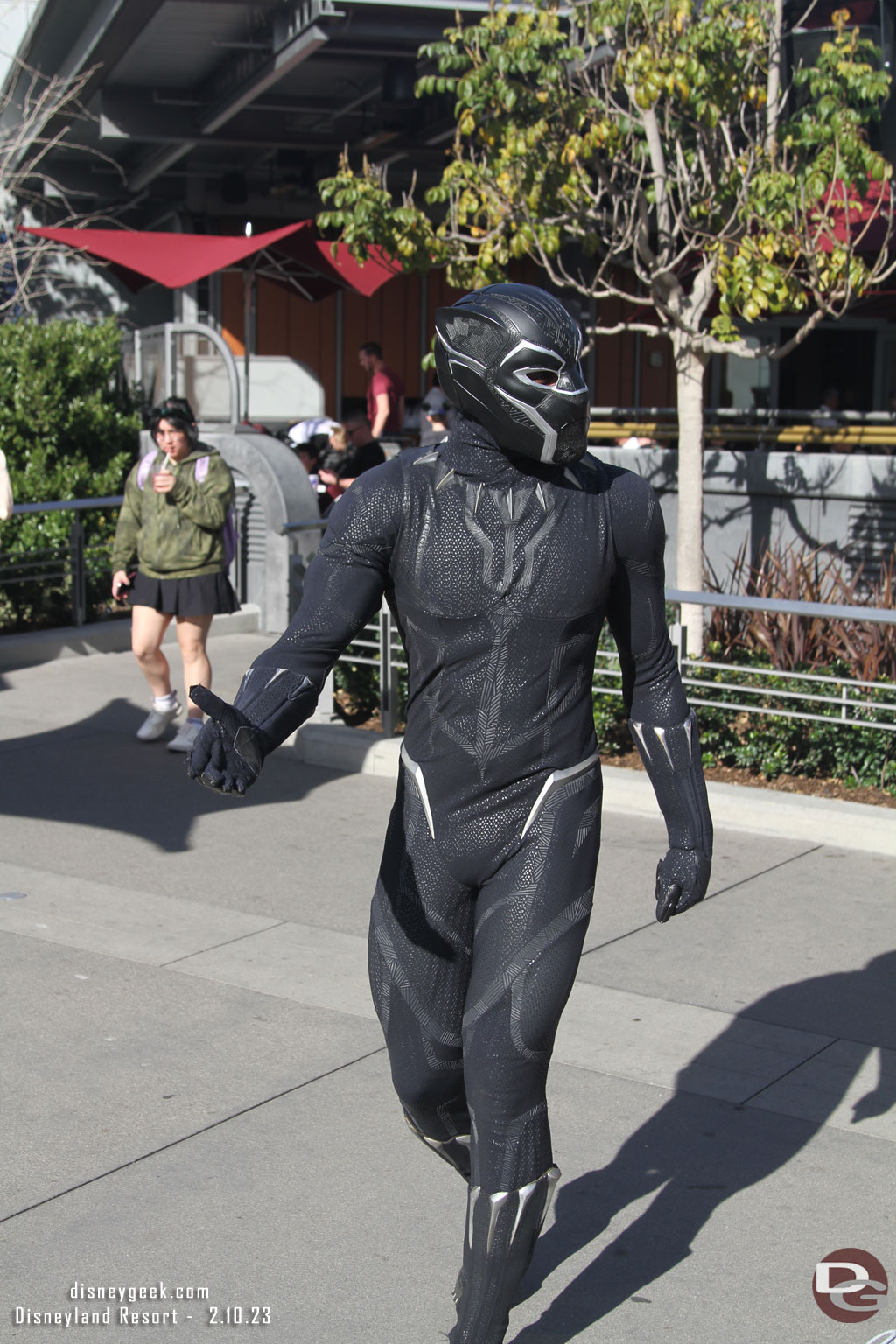 The Black Panther in Avengers Campus