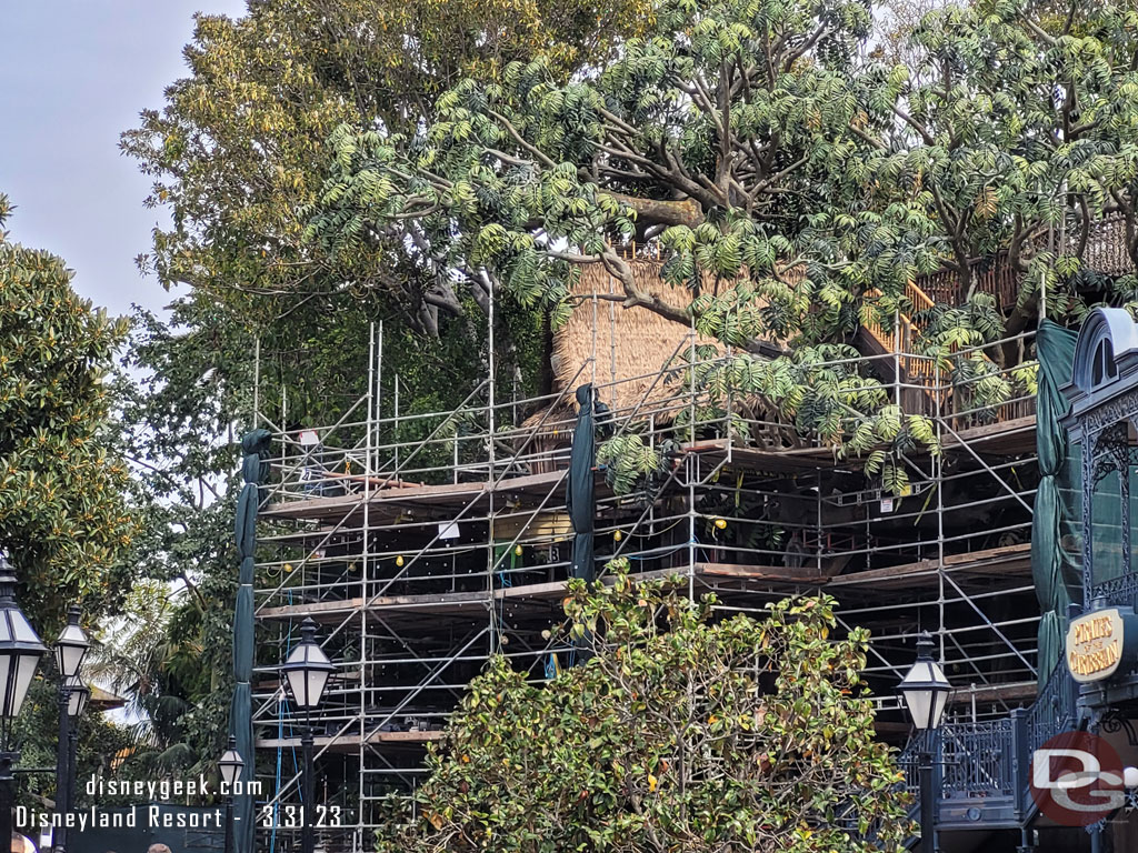 A look at the Adventureland Tree house, still no opening date announced.