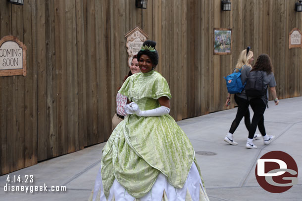 Princess Tiana strolled by while I was photographing the treehouse.