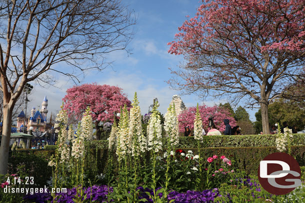 Springtime in the hub