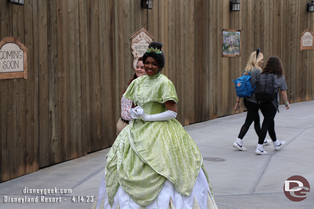 Princess Tiana strolled by while I was photographing the treehouse.