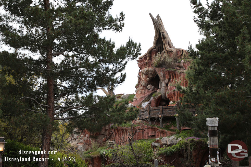 Passing by Splash Mountain.