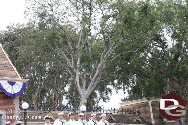 Noticed the tree on the right (city hall side) of the train station appears to have had a large branch cut off recently.