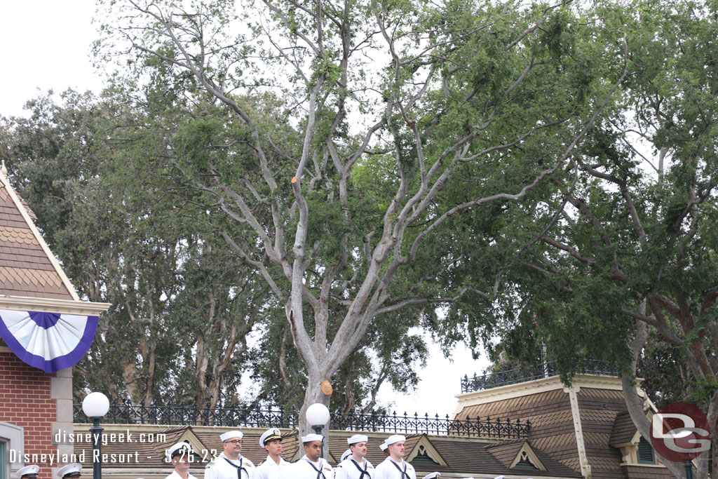 Noticed the tree on the right (city hall side) of the train station appears to have had a large branch cut off recently.