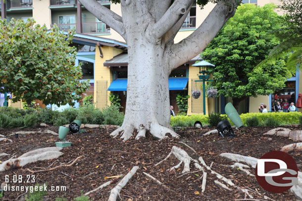 The lights around the trees really stuck out today.. as did the roots through the ground cover.