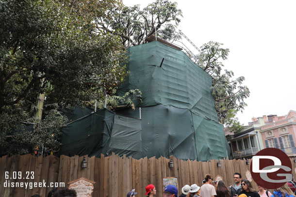 Scaffolding and scrims cover most of the treehouse again.