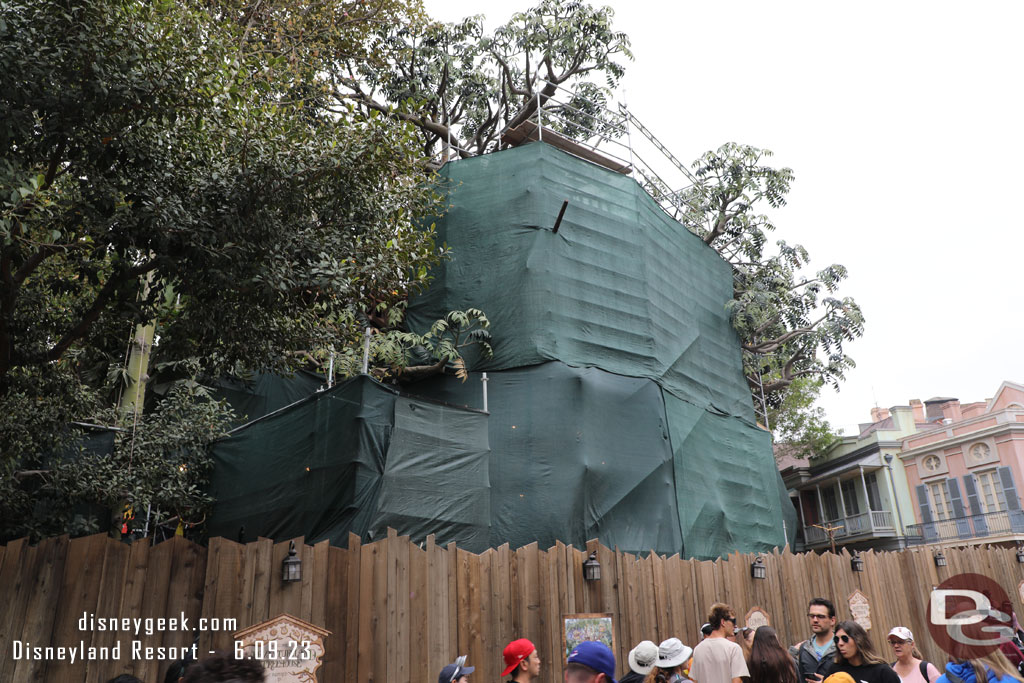 Scaffolding and scrims cover most of the treehouse again.