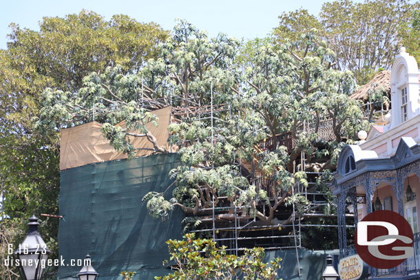 Not a lot of visible progress on the tree house project in Adventureland