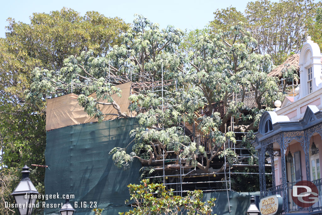 Not a lot of visible progress on the tree house project in Adventureland