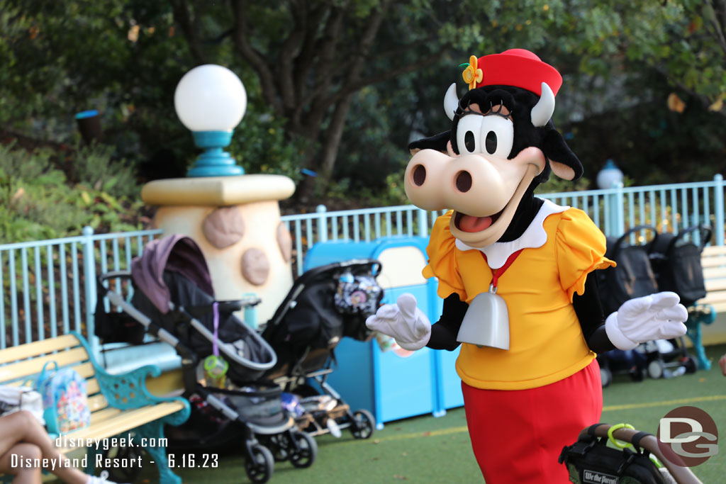 Clarabelle roaming around