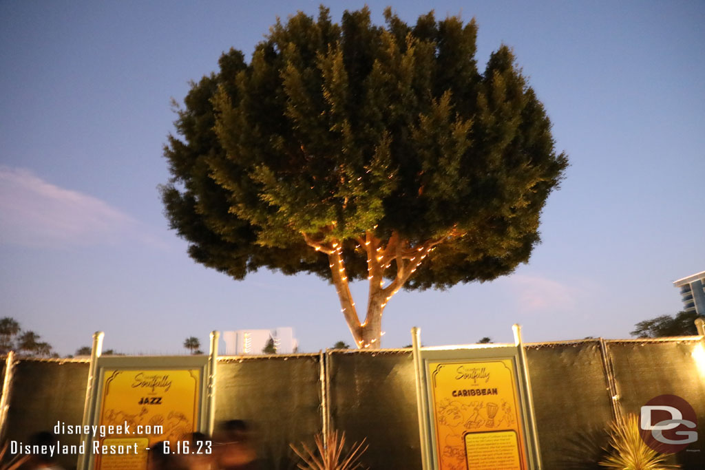 The tree beyond the construction wall has lights on still