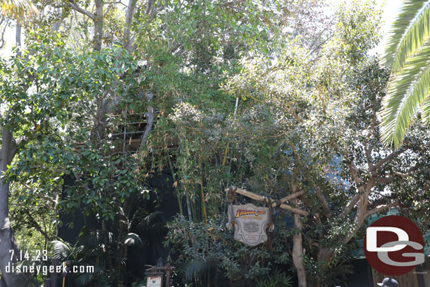 The Adventureland Treehouse through the trees