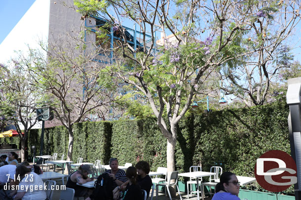 Hedges block the Hyperion queue area which is being set up for the Haunted Mansion premiere on Saturday.