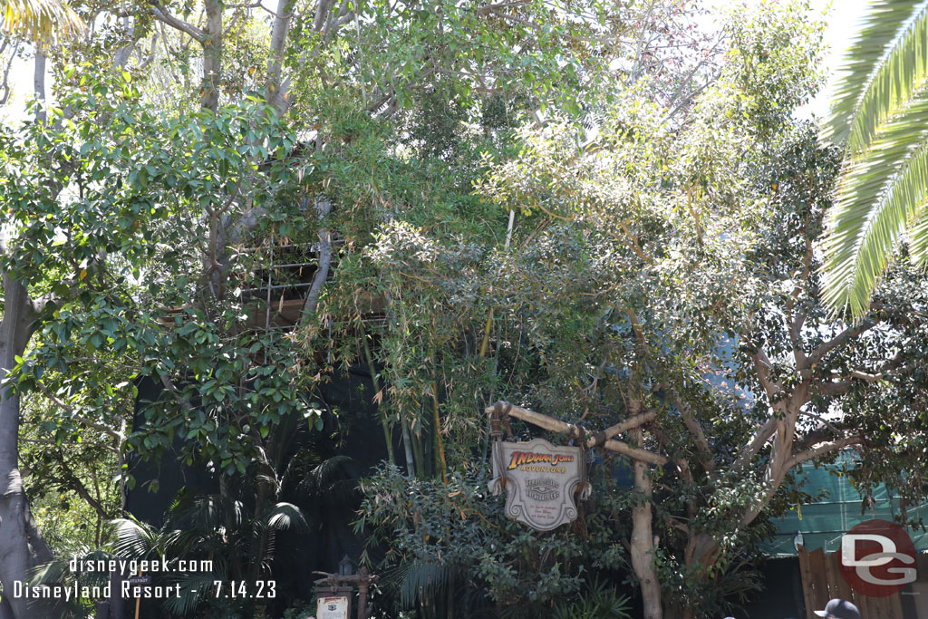 The Adventureland Treehouse through the trees