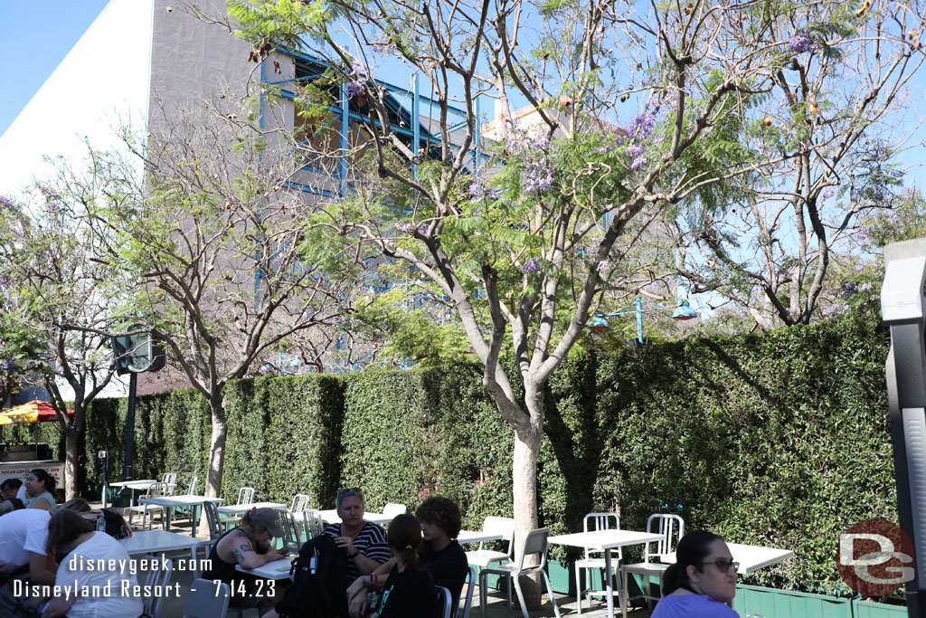 Hedges block the Hyperion queue area which is being set up for the Haunted Mansion premiere on Saturday.