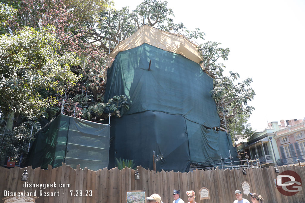 Walls and scaffolding still up at the Adventureland treehouse project.