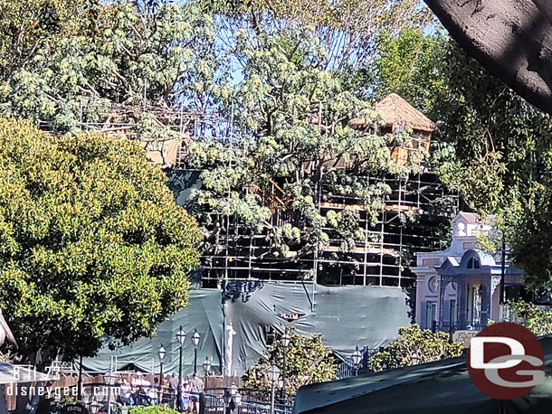 Looking back at the Adventureland Treehouse