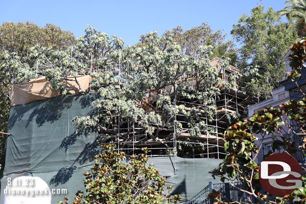 A closer look at the treehouse work