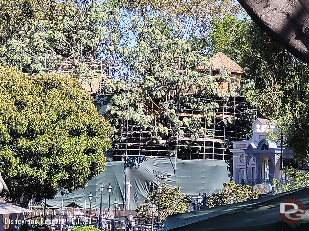 Looking back at the Adventureland Treehouse