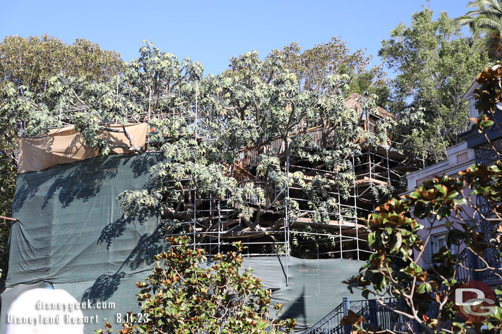 A closer look at the treehouse work