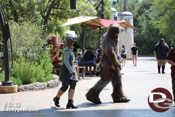 Chewy on the move.