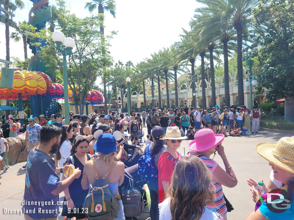 A moderate crowd waiting for the 2:00pm Musical Celebration of Coco, this was about 3 minutes before show time.