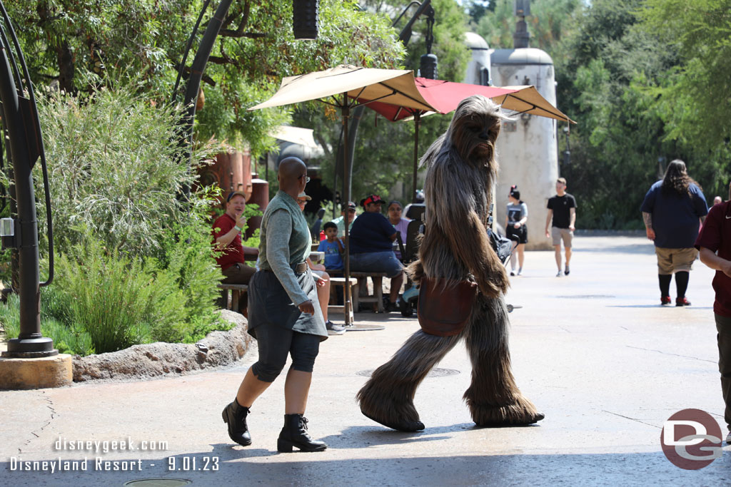 Chewy on the move.