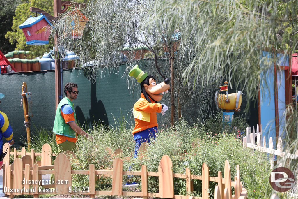 Goofy was roaming around his yard