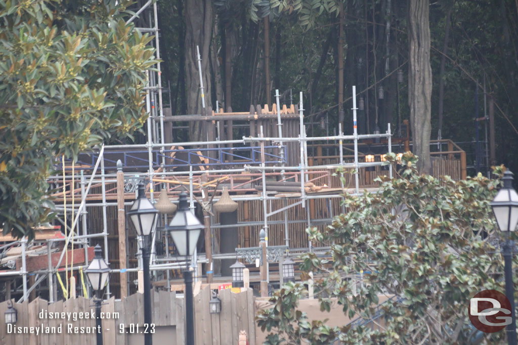 Looking back at the tree house