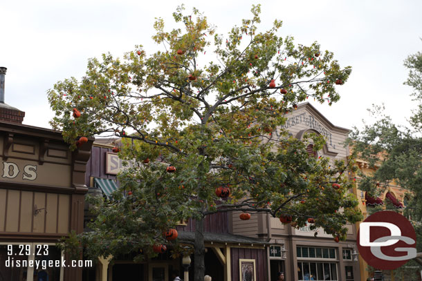 Passing by the Halloween tree in Frontierland