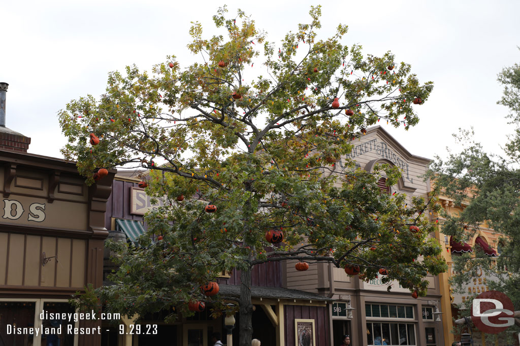 Passing by the Halloween tree in Frontierland